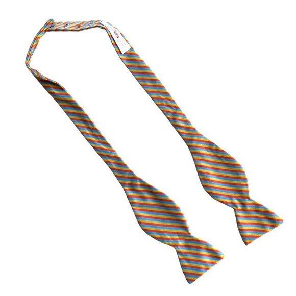 Carrot & Gibbs Silk Bowtie Rainbow Striped Colorful Maximalist Playful Artsy - Picture 3 of 6